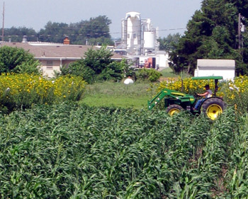 Farm Bill Cuts Should Target the Biggest Subsidy Recipients Image